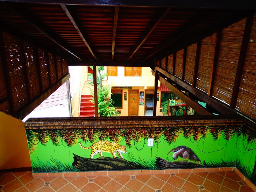 Hostal Hostel Manaus *